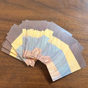 Reconnection Journey Playing Cards