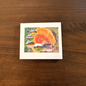 Reconnection Journey Longhouse Puzzle